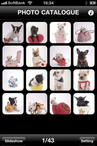 【免費娛樂App】Look!FrenchBulldog-APP點子