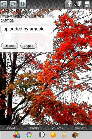 Amopic Facebook uploader screenshot 3
