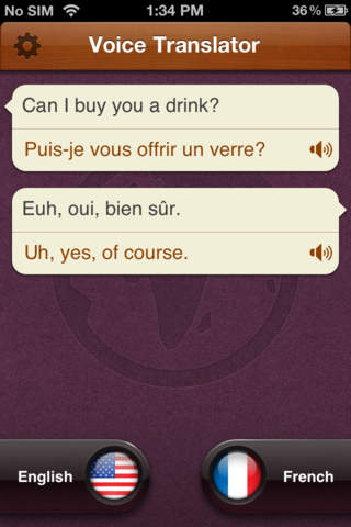 Voice Translate Pro screenshot 2