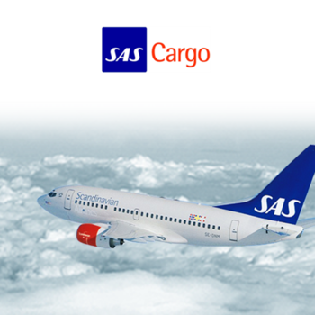 SAS Cargo LOGO-APP點子