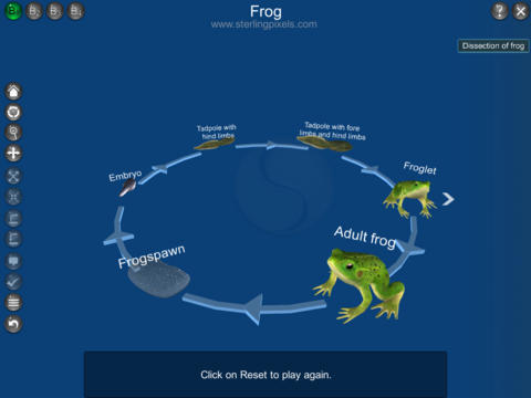 Life cycle of the Frog screenshot 4