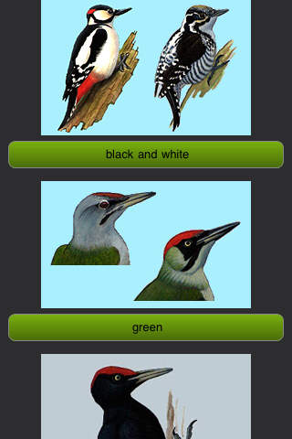 Birds of Europe screenshot 4