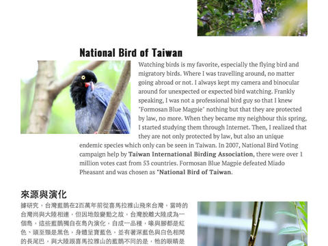 Photo Book of the breeding of Formosan Blue Magpie screenshot 3