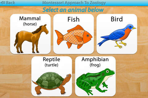 Parts Of Animals (Vertebrates) - A Montessori Approach to Zoology screenshot 2