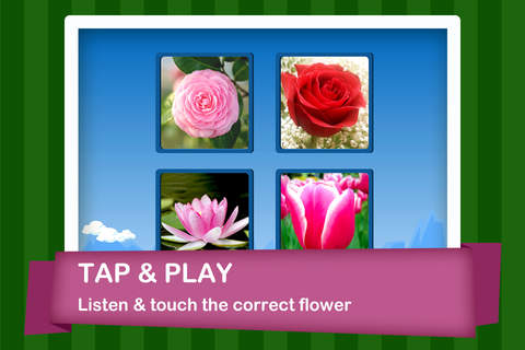 Flowers S - Autism Series screenshot 3