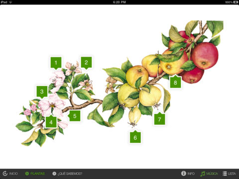 Plantas y flores. Enciclopedia Visual de las Preguntas screenshot 4