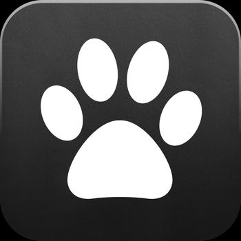Catpad - Cats love to catch the mouse 娛樂 App LOGO-APP開箱王
