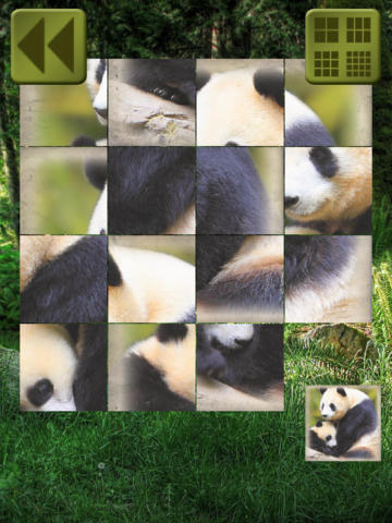 免費下載遊戲APP|Panda Slidy Puzzle - sliding puzzle for kids app開箱文|APP開箱王