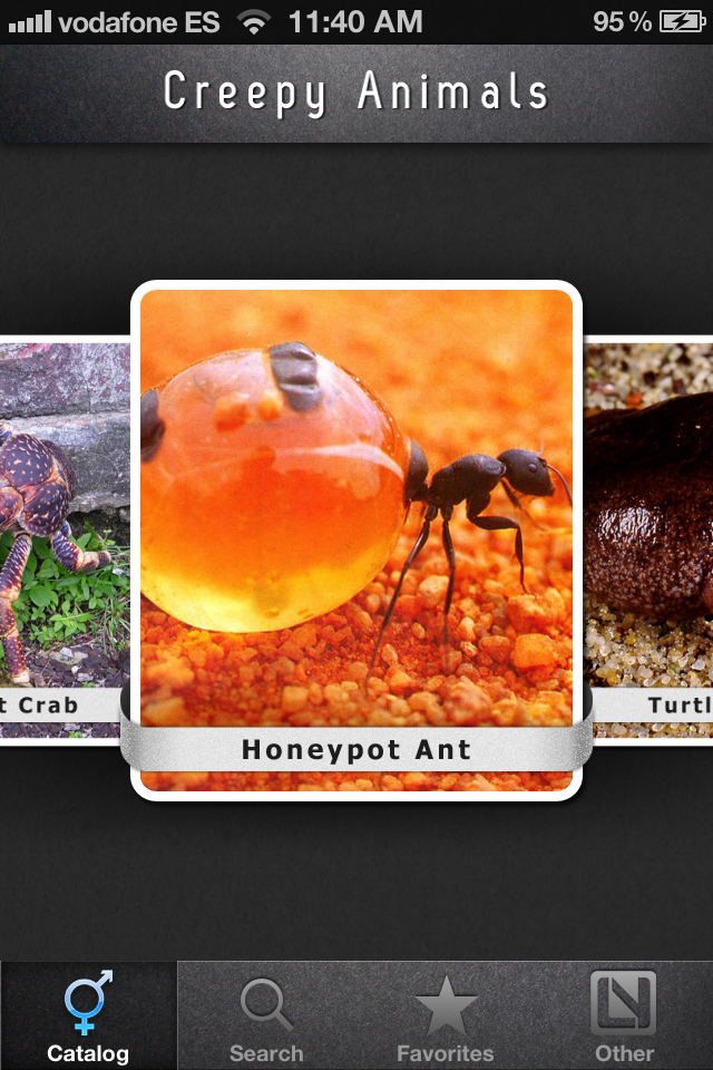 Creepy Animals