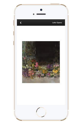 Galerie Lefor Openo screenshot 2