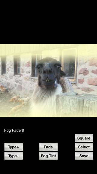 【免費攝影App】Foggy Photo - Add fog or smoke like effects to any picture-APP點子