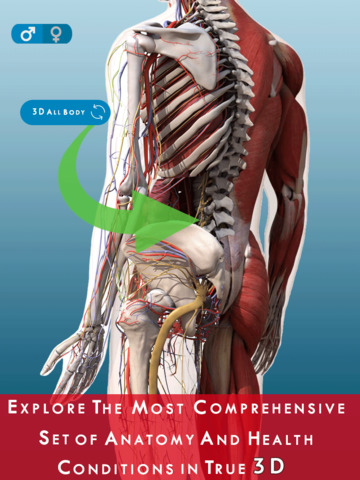 Anatomy and Physiology 3D : Anatomical Model of the Human Body screenshot 3