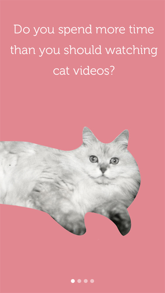 Cataday - Daily curated cat videos