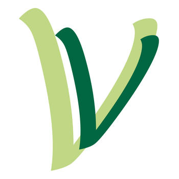 Hotel Villa Viktoria LOGO-APP點子