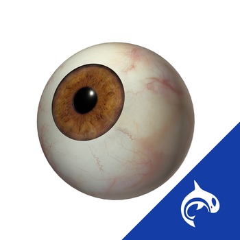 Eye Decide - Patient Engagement Tools for Healthcare Providers LOGO-APP點子