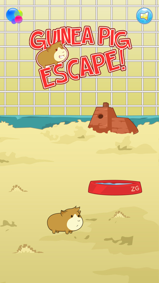 Guinea Pig Escape - Jump Fall Cage Hero