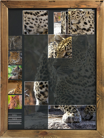 Leopard Puzzle