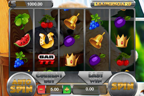 Pet Shop Animals - FREE Slots Game A Solitaire Mobility Casino Machine screenshot 2