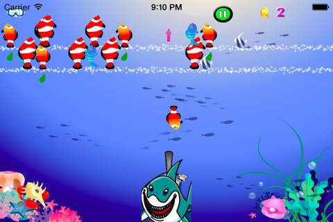 Splash Shark screenshot 4