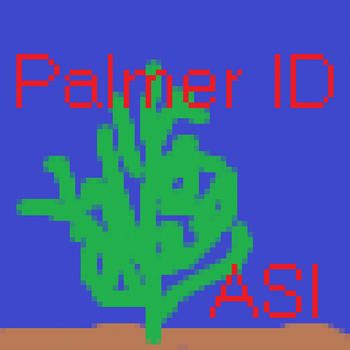 ASI Palmer Bounty LOGO-APP點子