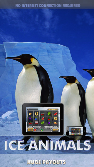 Ice Animals - FREE Slot Game Wild Panda Poker