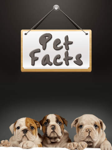 【免費遊戲App】Pets Facts - Free Trivia for Animal Lovers-APP點子