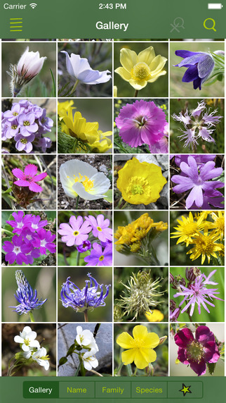 AlpineFlower Finder - Discover the wild flowers of the Alps