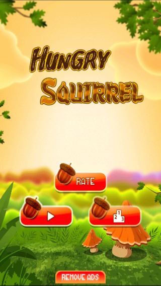 Hungry Squirrel HD Plus