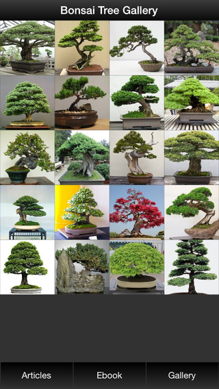 【免費生活App】Bonsai Tree Guide - Everything You Need To Know Bonsai Tree !-APP點子