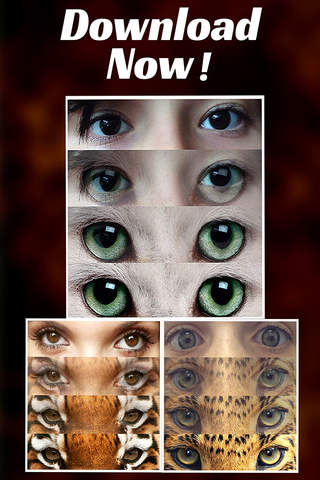 Animal Eyes Maker : Blend & Morph Into Funny Face With Tiger Eyes & Cats Eye screenshot 3