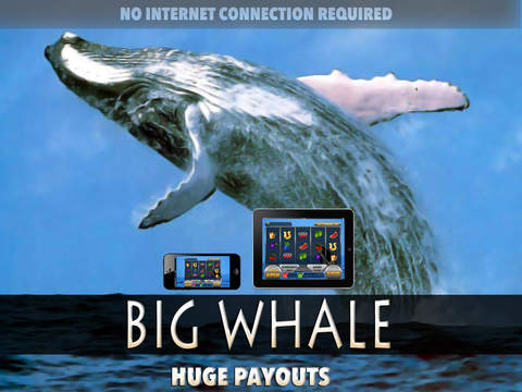 免費下載遊戲APP|Big Whale Slots - FREE Slot Game Big Win Premium app開箱文|APP開箱王