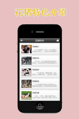宁乡花猪 screenshot 4