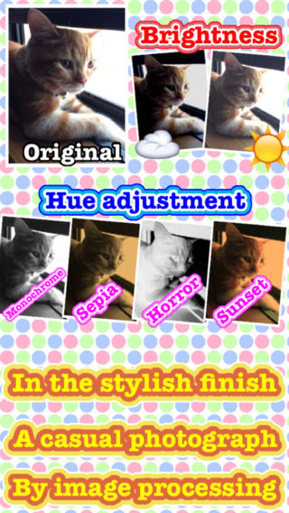 【免費攝影App】Photo Arrangement-APP點子