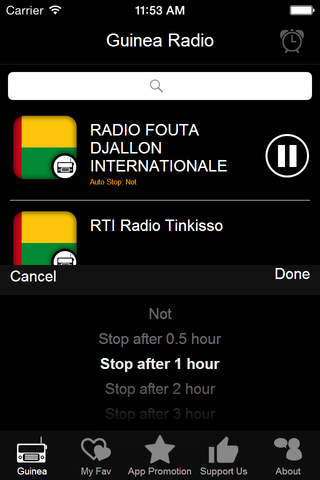 Guinea Radio screenshot 2