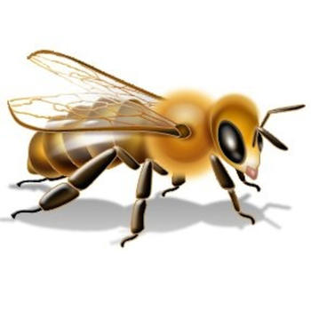 MyBees LOGO-APP點子