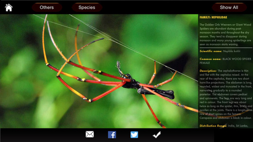 【免費攝影App】Spiders eGuide-APP點子