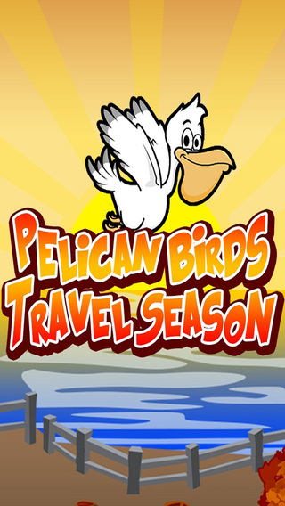Pelican Birds Travel Season PRO