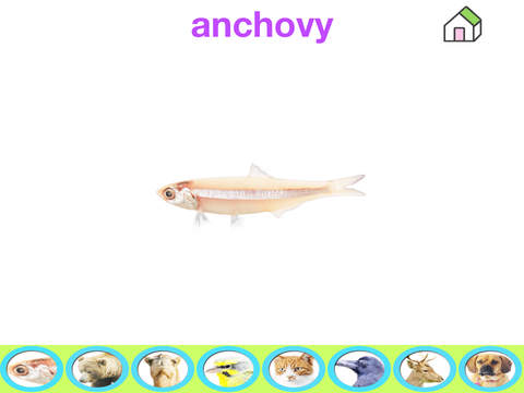 免費下載教育APP|PHONICS - ABC Tracing For Kids app開箱文|APP開箱王