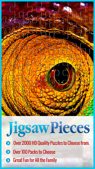 Jigsaw Puzzles Pieces Collection Magic- for preschool kids and adults
