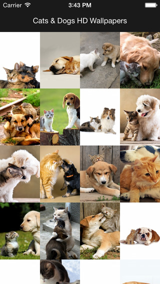 【免費生活App】Cats & Dogs Hd Wallpapers and Backgrounds-APP點子