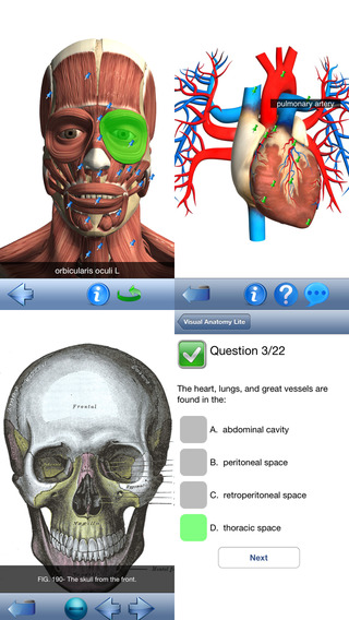 【免費醫療App】Visual Anatomy Lite-APP點子