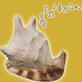 Pocket SeaShell LOGO-APP點子