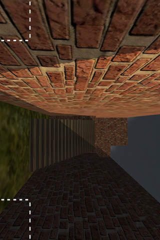 Labyrinth - By Nerdy Lime Apps screenshot 3