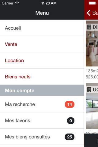 Immobilière Le LION screenshot 3