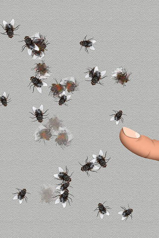 Flies killer - free screenshot 3
