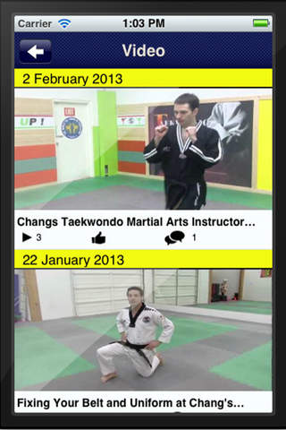 Chang's Taekwondo screenshot 3