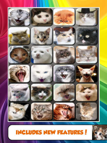 免費下載娛樂APP|Cat Talk Noises And Kitten Meow Sounds app開箱文|APP開箱王