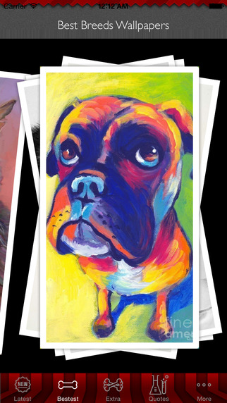 免費下載書籍APP|Best HD Breeds Art Wallpapers for iOS 8 Backgrounds: Animal Theme Pictures Collection app開箱文|APP開箱王