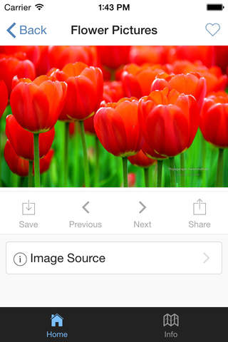 Flower Pictures Wallpapers screenshot 4