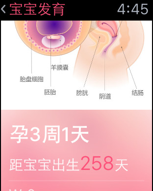 【免費健康App】宝宝树孕育-最火的怀孕育儿社区-APP點子